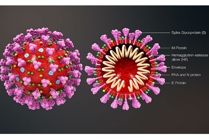 CORONAVIRUS in Valtellina 18 aprile